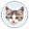 EF File Catalog logo
