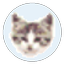 EF File Catalog logo