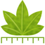 Digimizer logo