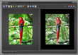 FotoSketcher screenshot