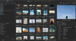 Adobe Bridge screenshot