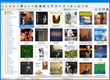 GSoft4U Music Collection screenshot