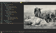 Broot screenshot