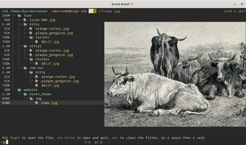 Broot screenshot