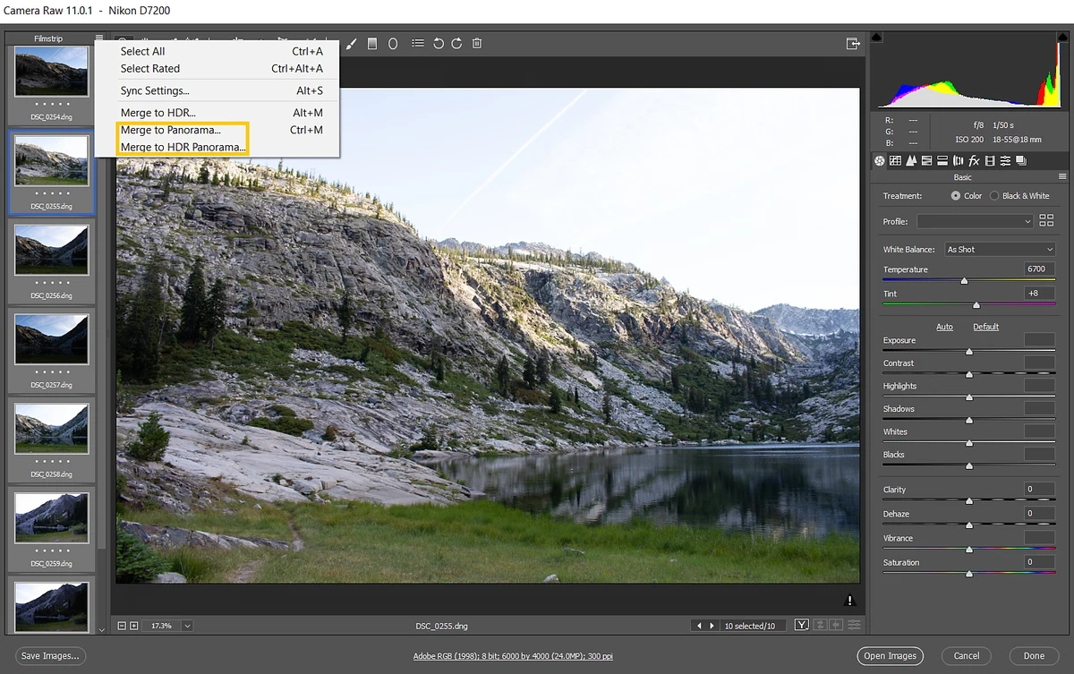 Adobe Camera Raw screenshot