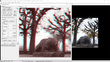 StereoPhoto Maker screenshot