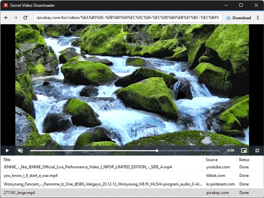 Secret Video Downloader screenshot