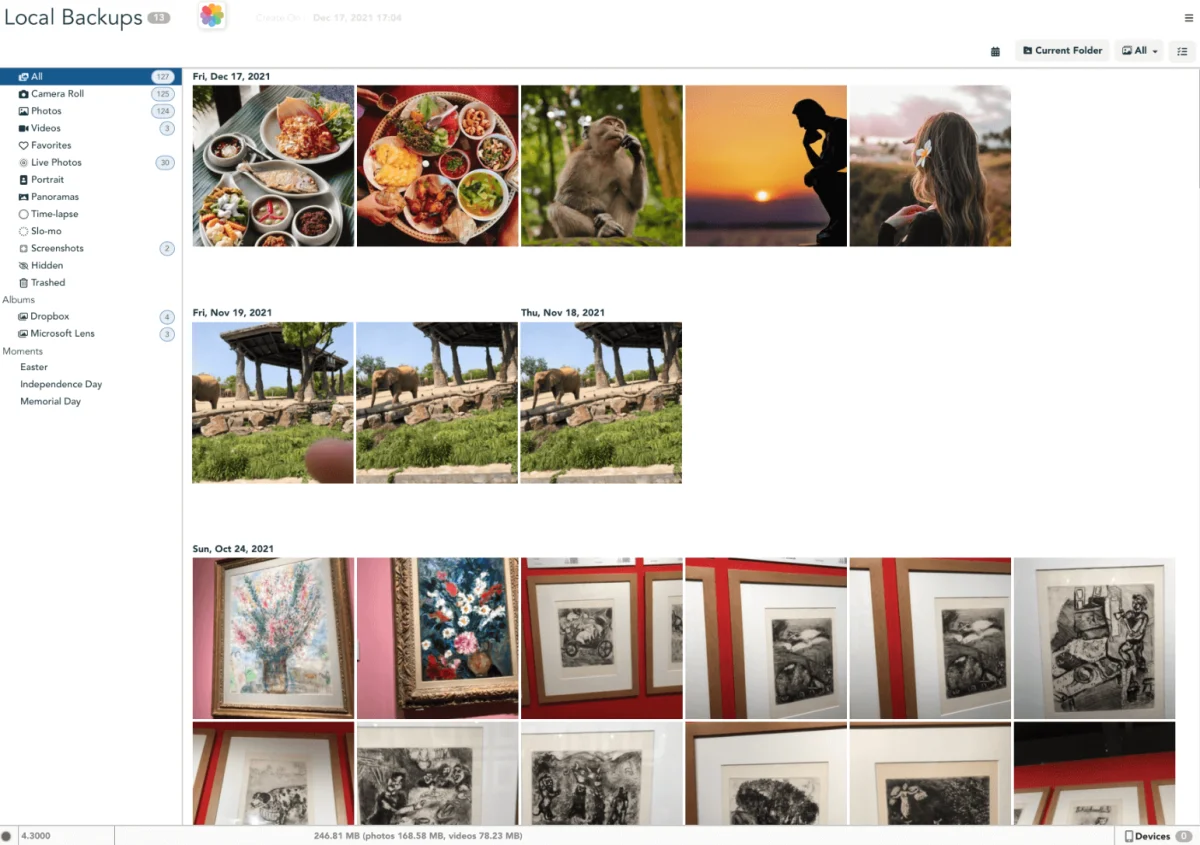 iBackup Viewer screenshot