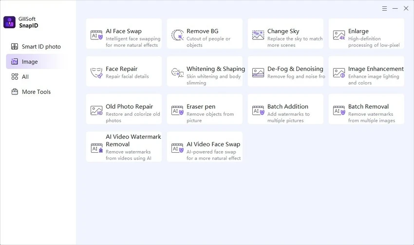 Gilisoft SnapID screenshot