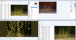 WildBit Viewer screenshot