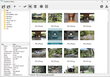TweakNow Gallery screenshot