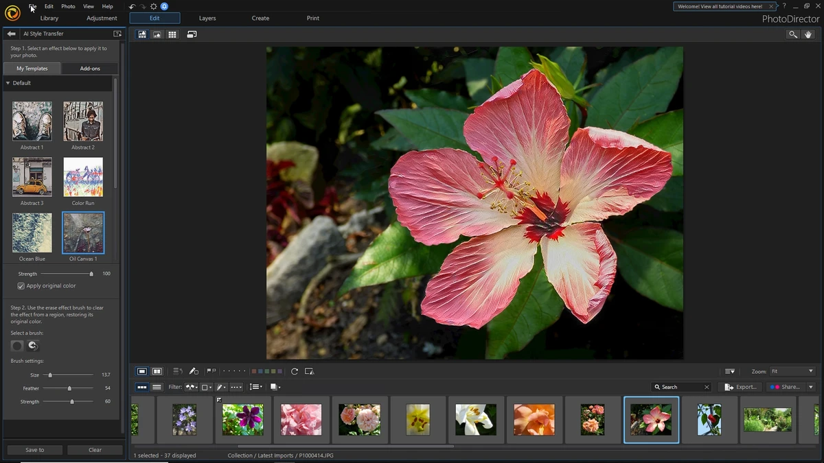 CyberLink PhotoDirector screenshot