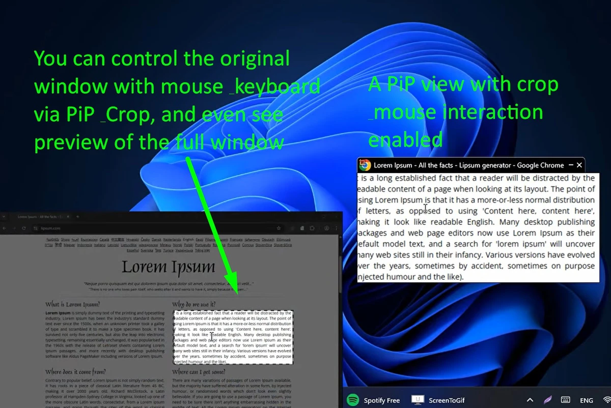 WindowTop screenshot