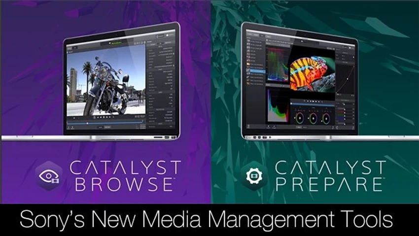 Catalyst Production Suite screenshot
