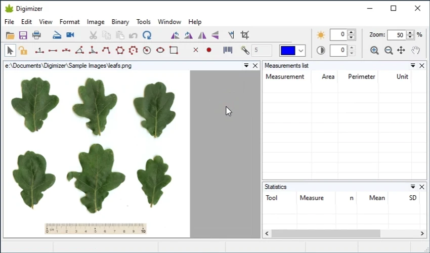 Digimizer screenshot
