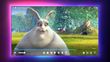 Zoom Player STREAM screenshot