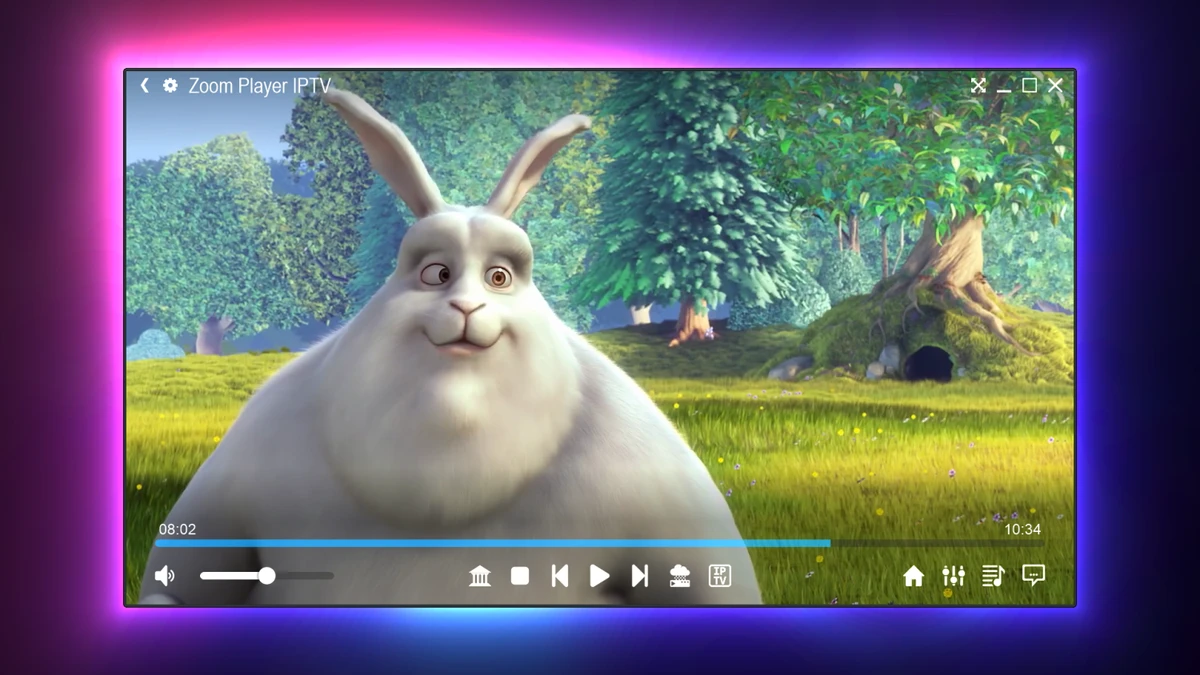Zoom Player STREAM screenshot