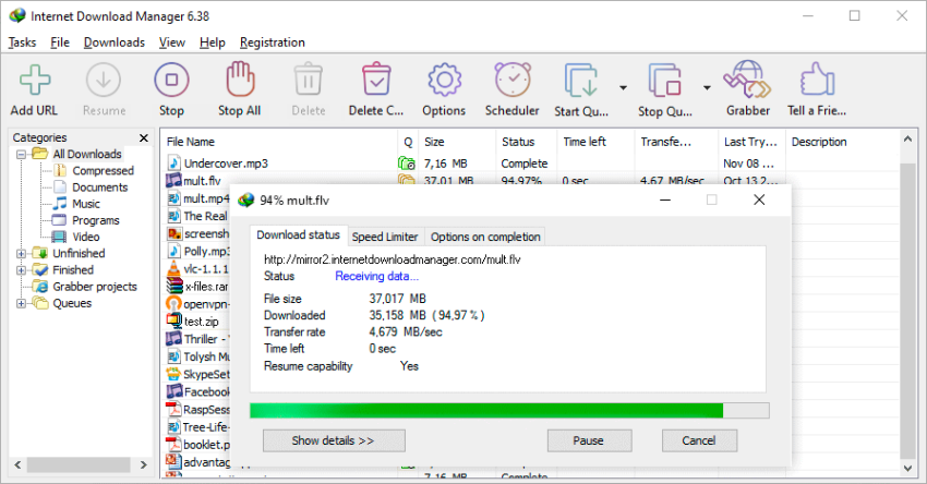 Internet Download Manager (IDM) screenshot