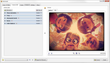 XnConvert screenshot