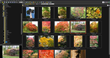 FastStone Image Viewer screenshot