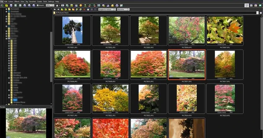 FastStone Image Viewer screenshot